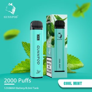 gunnpod cool mint 2000 puff