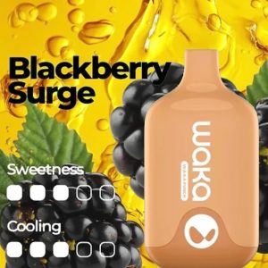 WAKA SMASH BLACKBERRY SURGE - 6000 PUFFS