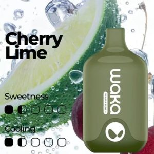 WAKA SMASH CHERRY LIME - 6000 PUFFS