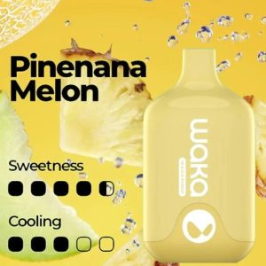 WAKA SMASH PINEAPPLE MELON - 6000 PUFFS