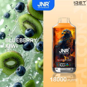 JNR FALCON -X BLUEBERRY KIWI - 18000 PUFFS