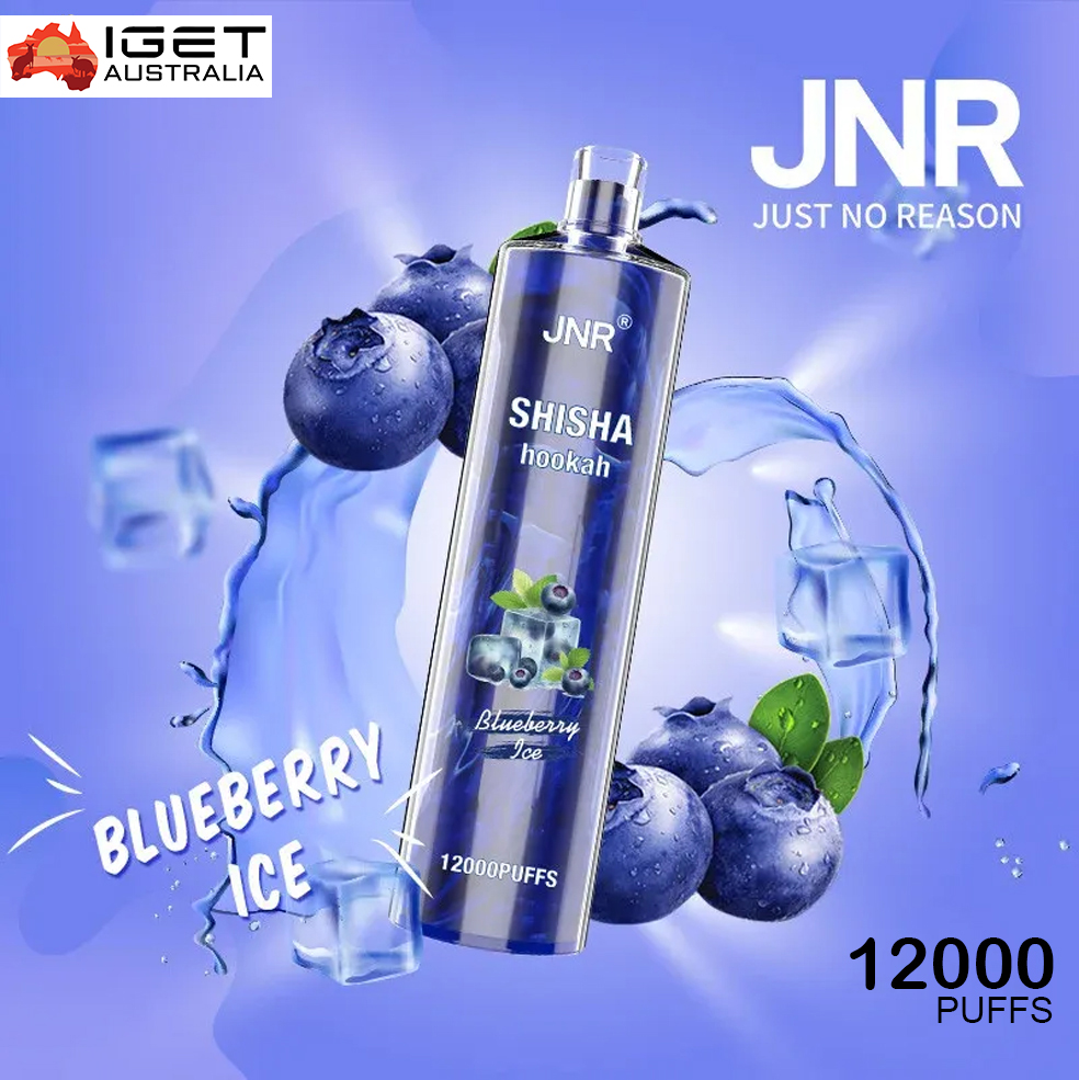 JNR SHISHA HOOKAH BLUEBERRY ICE - 12000 PUFFS