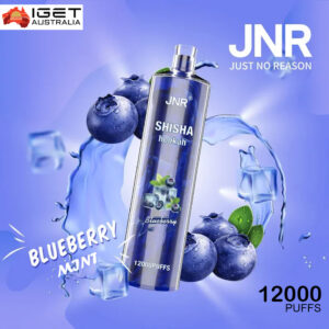 JNR SHISHA HOOKAH - BLUEBERRY POMEGRANATE - 12000 PUFFS