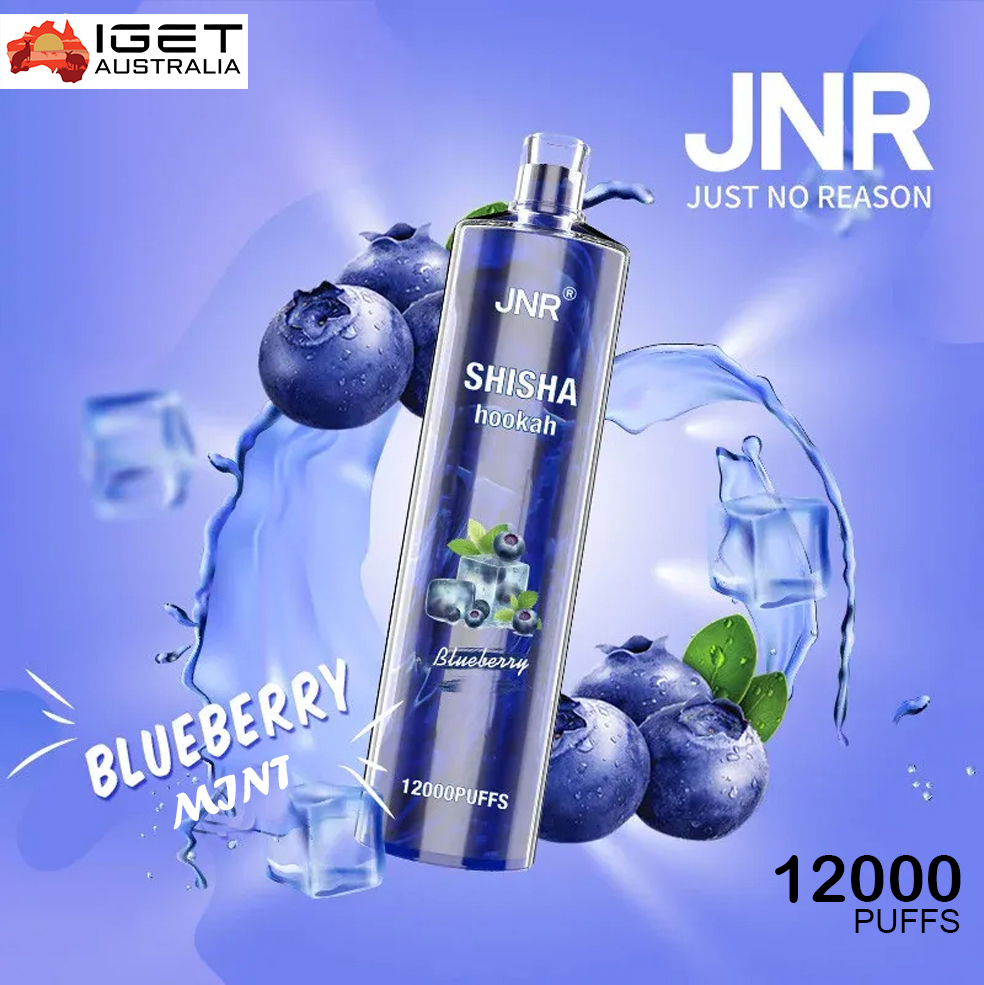 JNR SHISHA HOOKAH - BLUEBERRY POMEGRANATE - 12000 PUFFS