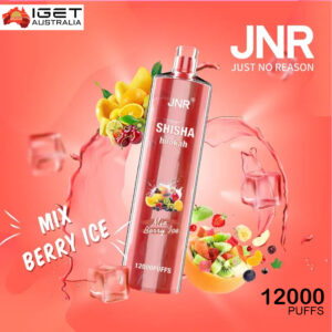 JNR SHISHA HOOKAH MIX BERRY ICE - 12000 PUFFS