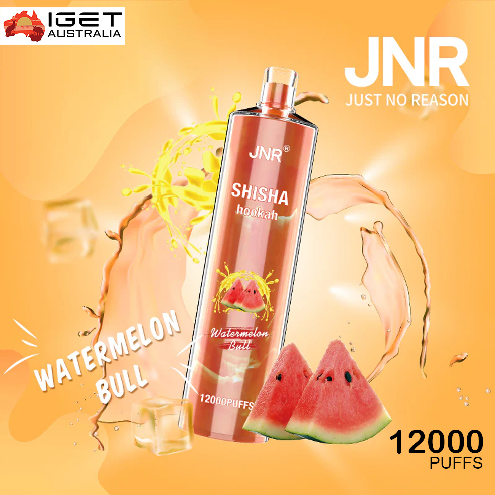 JNR SHISHA HOOKAH - WATERMELON BULL - 12000 PUFFS
