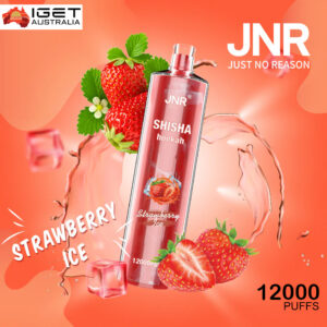 JNR SHISHA HOOKAH WATERMELON ICE  - 12000 PUFFS