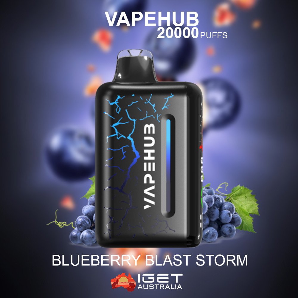 VAPEHUB BLUEBERRY BLAST STORM - 20000 PUFFS