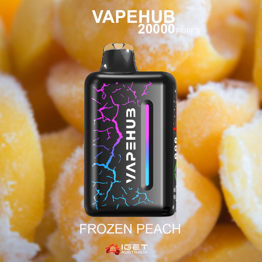 VAPEHUB FROZEN PEACH - 20000 PUFFS