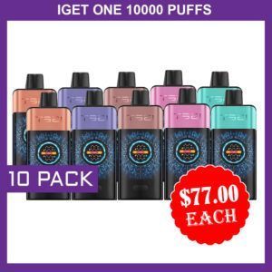 IGET ONE 12000 PUFFS - 10 PACK