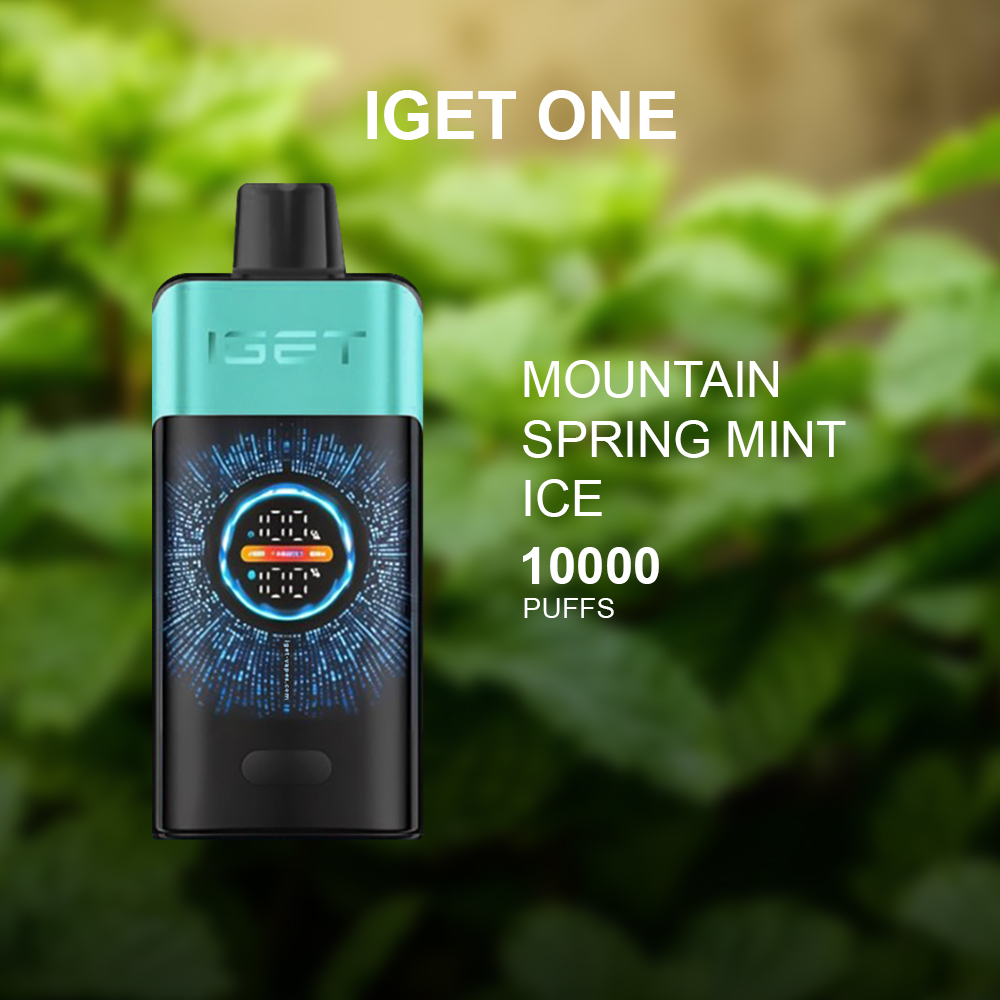 IGET ONE MOUNTAIN SPRING MINT ICE