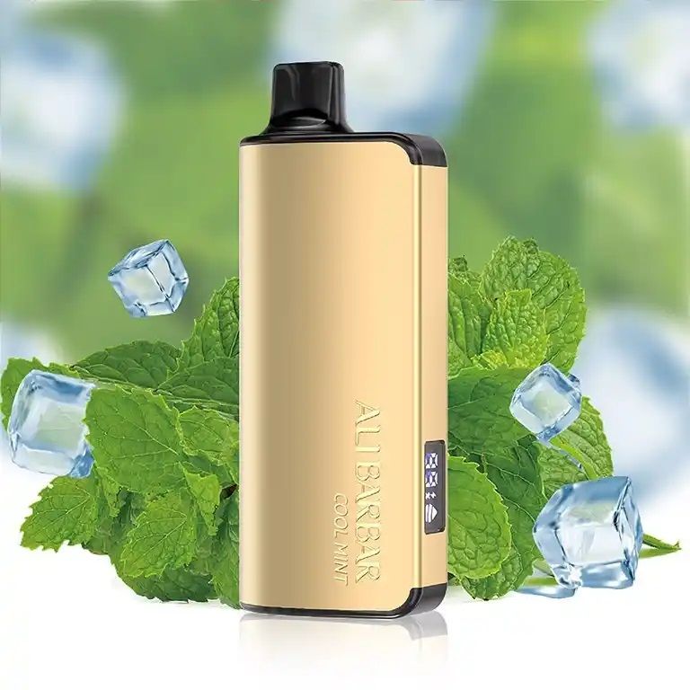 ALIBARBAR INGOT MIAMI MINT - 9000 PUFFS